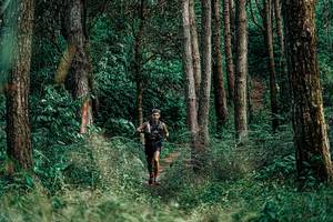 BIB: 
                            <button type="button" onclick="openModal(25236091)" class="btn btn-primary btn-sm float-right btn-popup" data-toggle="modal" data-target=".modal-high-quality">
                        <i class="fas fa-shopping-cart"></i> Add to Cart
                    </button>
                                            <button type="button" onclick="isThisMe(25236091, true)" class="btn btn-success btn-sm float-right btn-popup btn-isme hidden" data-toggle="tooltip" data-placement="bottom" title="นี่คือรูปของคุณใช่ไหม คลิกที่นี่เพื่อเอาเข้าอัลบั้ม">
                        <i class="fas fa-plus"></i> Add to album
                    </button>
                    <button type="button" onclick="isThisMe(25236091, false)" class="btn btn-warning btn-sm float-right btn-popup btn-isnotme hidden">
                        <i class="fas fa-ban"></i> Remove from album
                    </button>